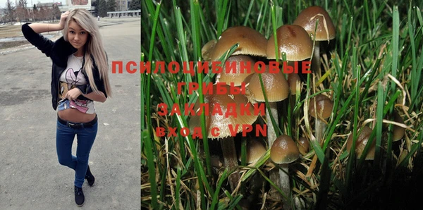 мдма Бронницы