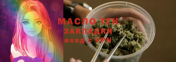 мдпв Бородино