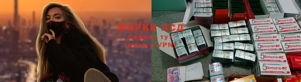 мдпв Бородино