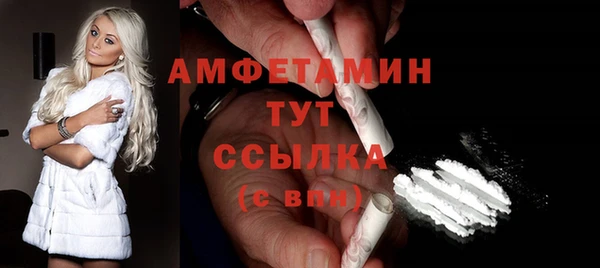 мдпв Бородино