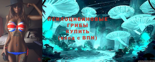 мдпв Бородино
