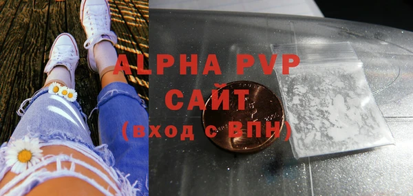 мдпв Бородино