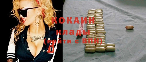 амф Снежногорск